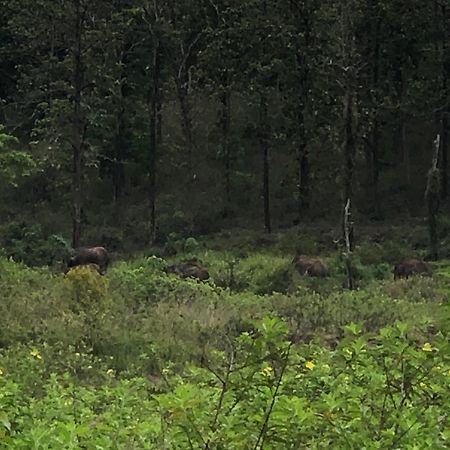 Lotus Jewel Forest Camping Sultan Bathery Exterior photo