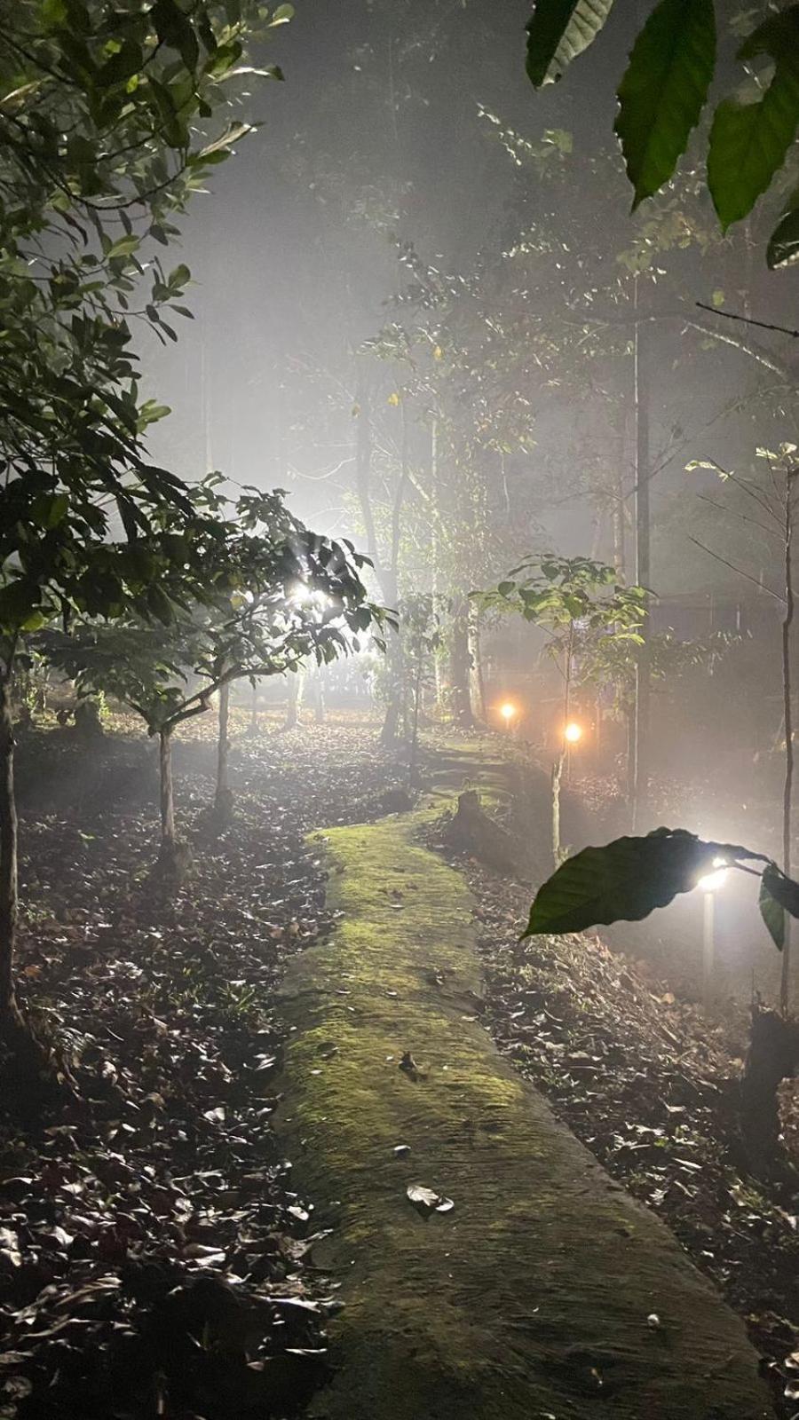 Lotus Jewel Forest Camping Sultan Bathery Exterior photo
